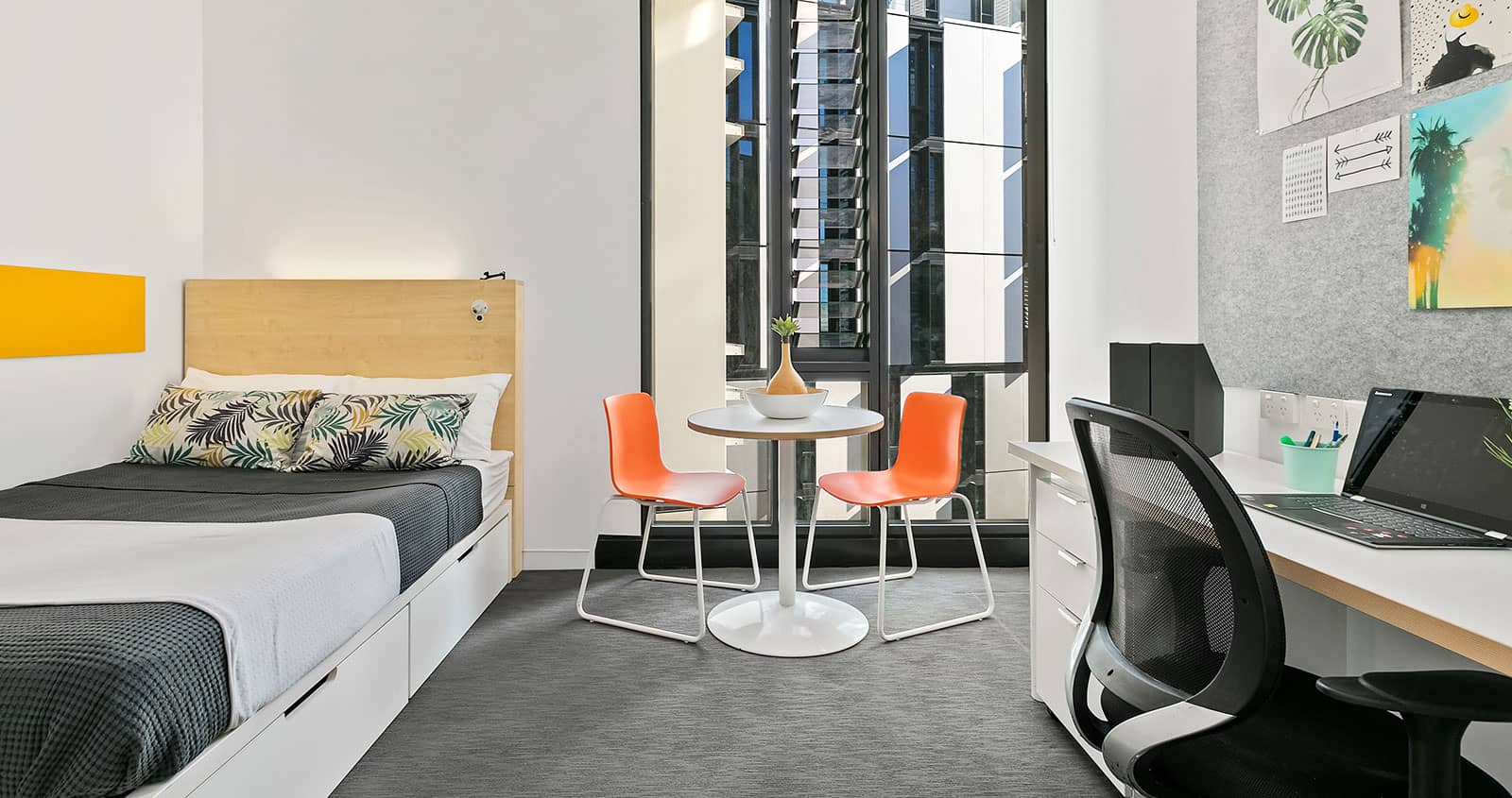 Iglu Chatswood 豪华单人套房